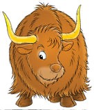 Buffalo Gal