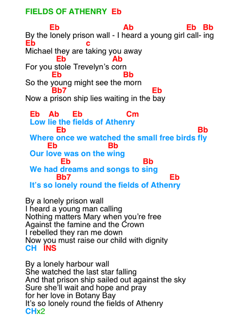 Fields Of Athenry DT1