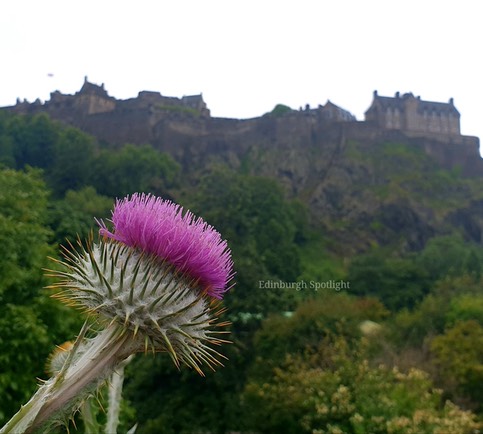 Flowers Of Edinburgh