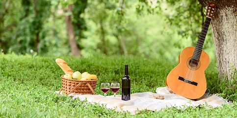 picnic-wine-gtr