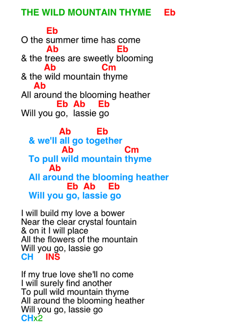 Wild Mountain Thyme CT3